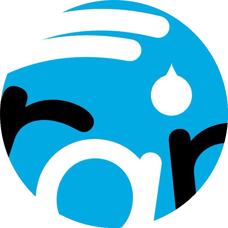 Logo RAINDROP